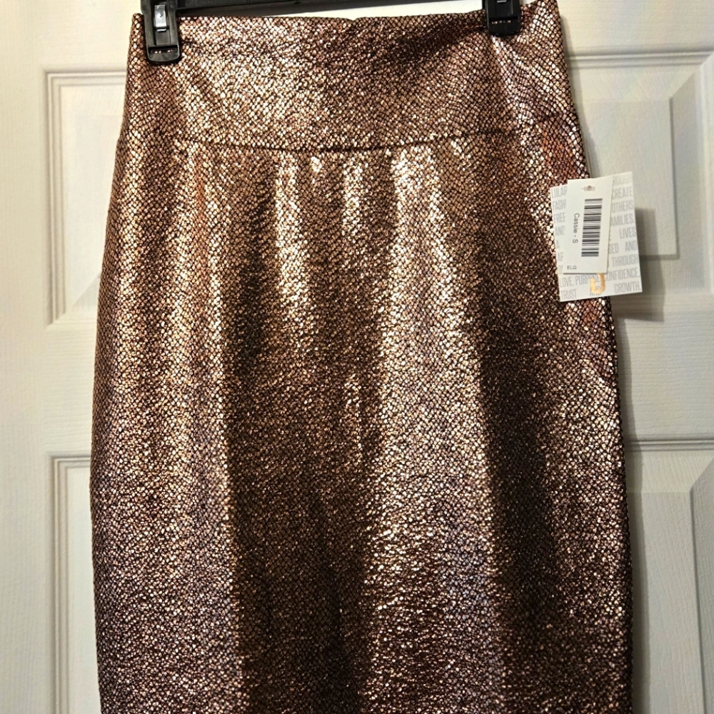 Lularoe Cassie Skirts